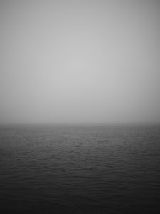 afonso-vieira-A-o1UIPsmNw-unsplash afonso-vieira-A-o1UIPsmNw-unsplash